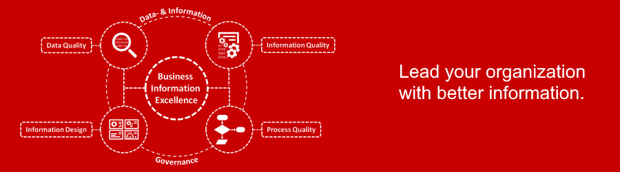 Binex Vom Datenqualitatsmanagement Zur Business Information